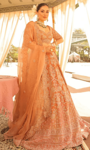 Peach Velvet Lehenga thumbnail 1