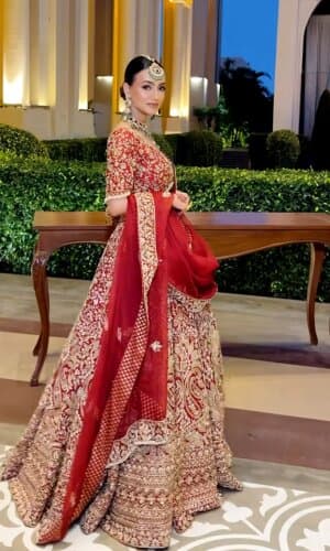 Lehenga thumbnail 2